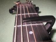Planet Waves Trio capo