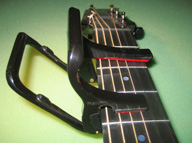 Transpo Capo